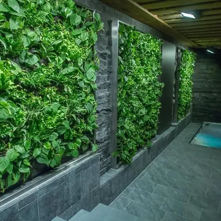 Stunning Modern With Indoor Pool And